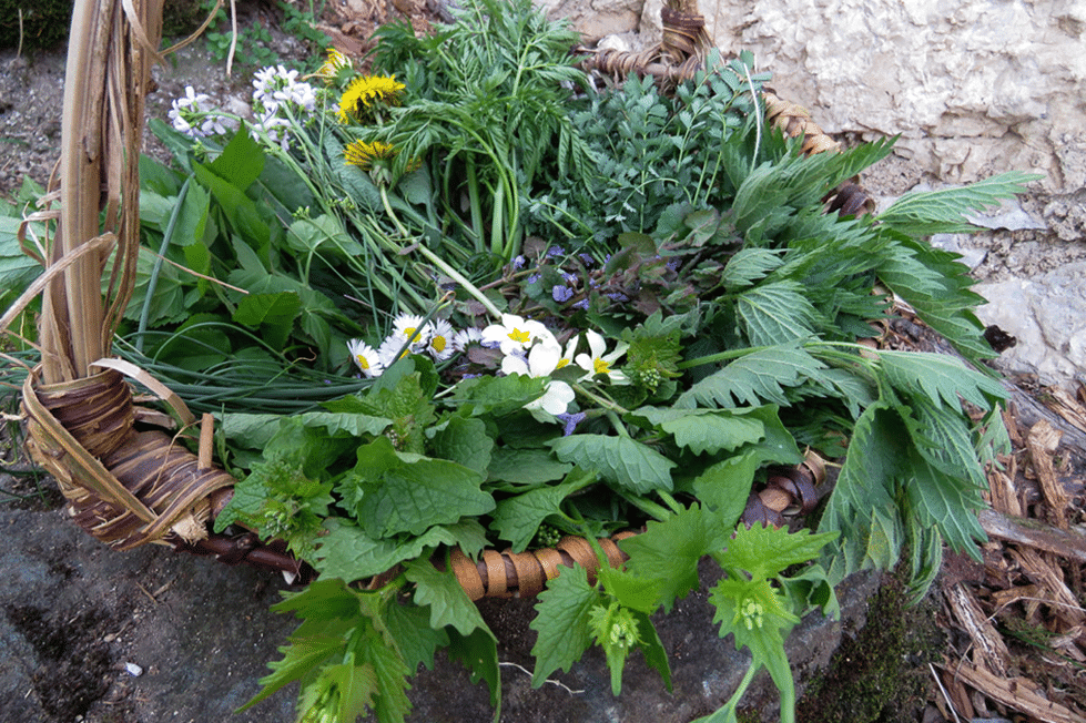 Promenade des saveurs