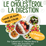 le foie, la digestion, le cholestérol