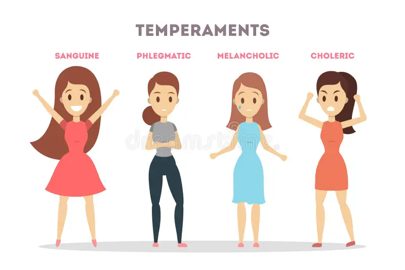 LES TEMPERAMENTS